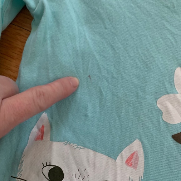 Carter’s Girls size 4T long sleeve blue top with cute cat and spring flowers - Picture 2 of 3